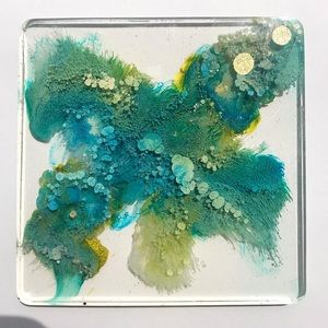 🌿Rainy Forrest Green Resin Coaster